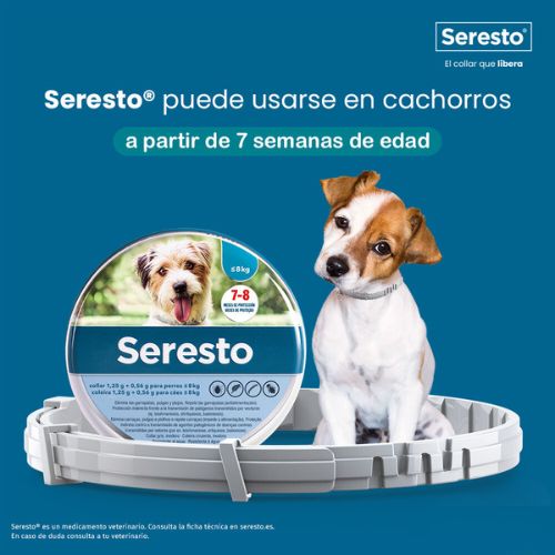 Collar Seresto Antiparasitario Cachorros