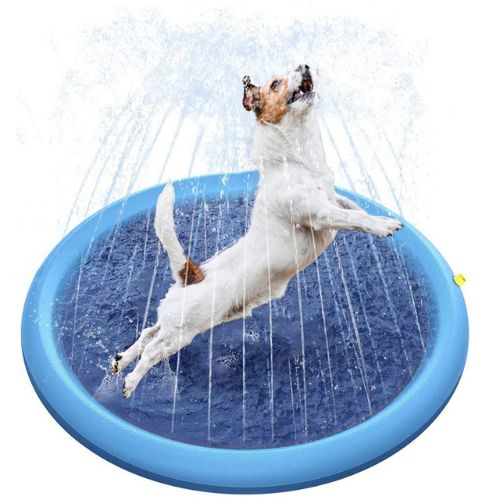 Piscina con Chorros para Perros