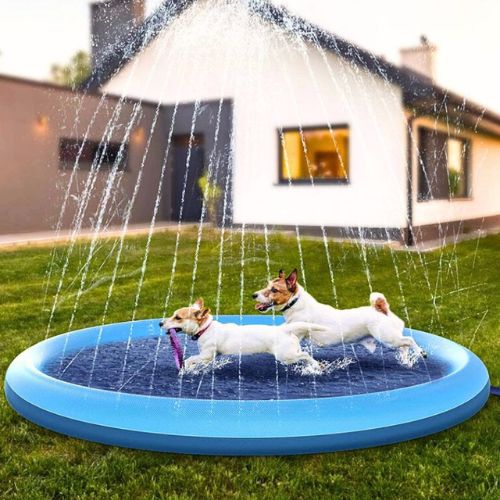 Piscina con Chorros para Perros