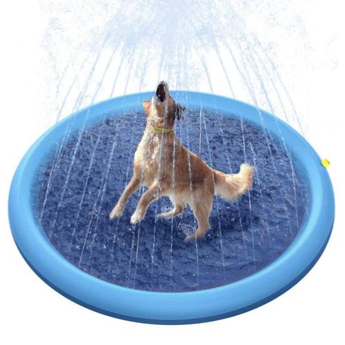 Piscina con Chorros para Perros