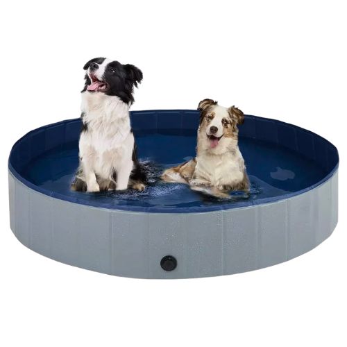 Piscina para Perros