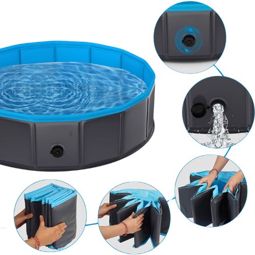 Piscina para Perros