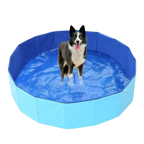 Piscina para Perros