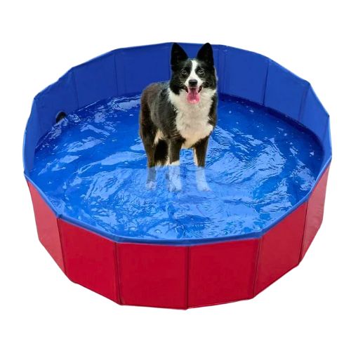 Piscina para Perros