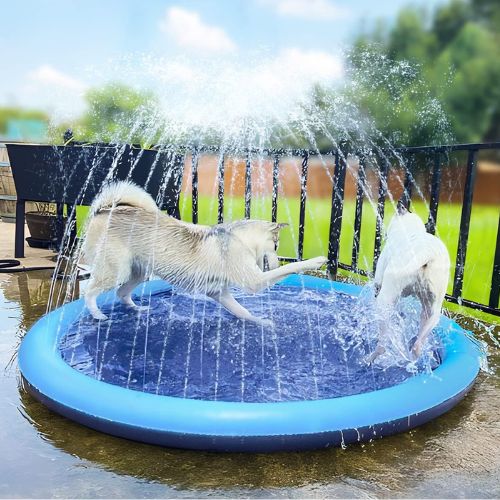 Piscina con Chorros para Perros