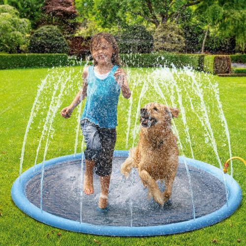 Piscina con Chorros para Perros