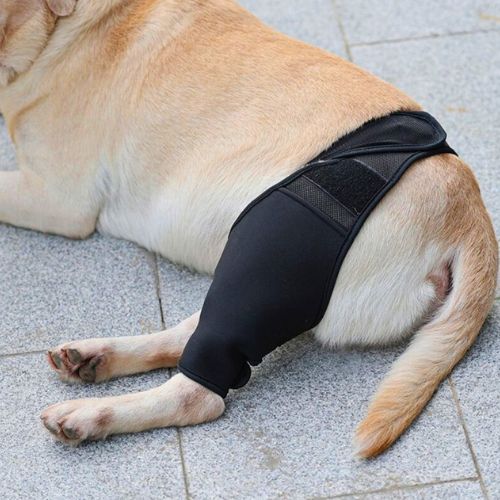 Protector de Rodilla para perro