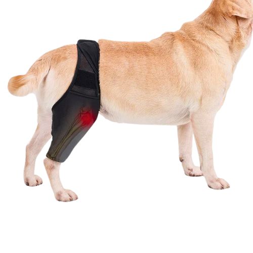 Protector de Rodilla para perro