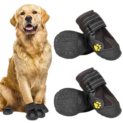 Botas Antideslizantes para Perro