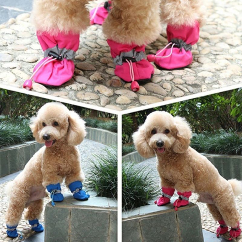 Botas para perro