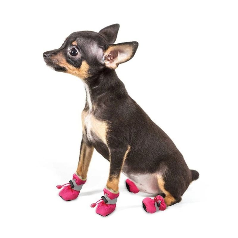 Botas para perro