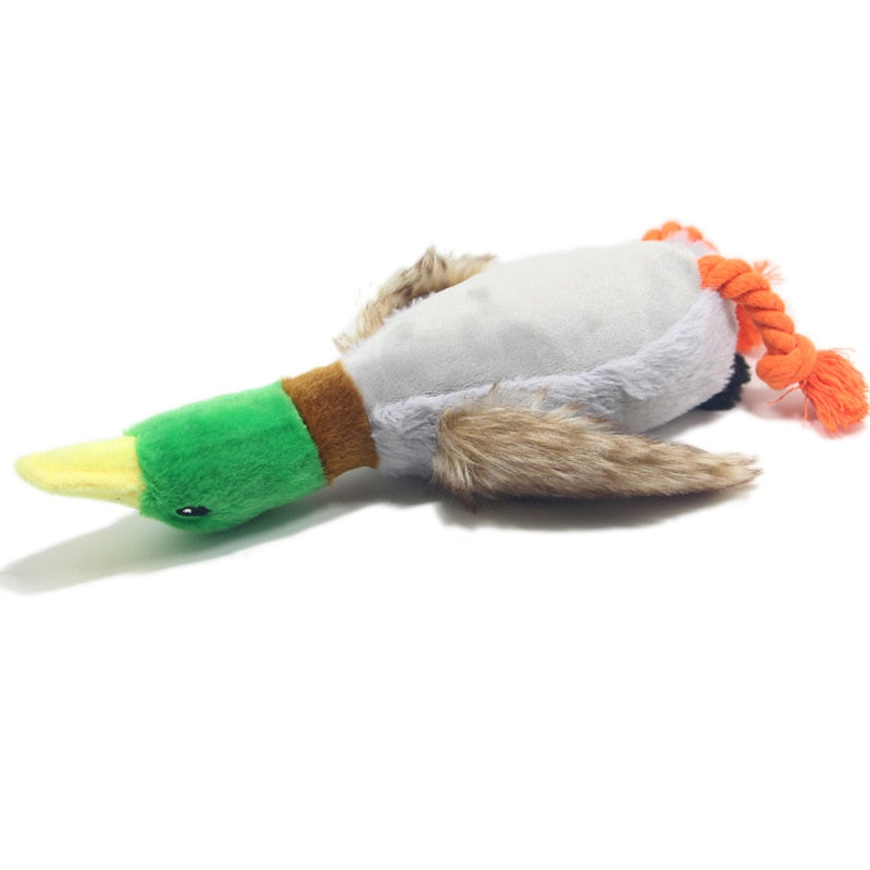 Pato de peluche para perros