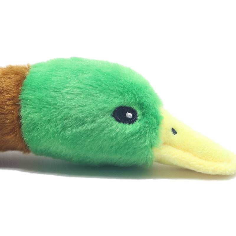 Pato de peluche para perros